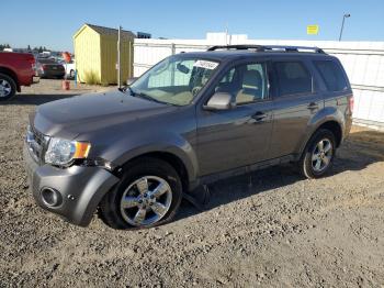  Salvage Ford Escape