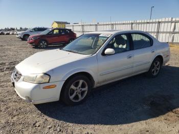  Salvage Nissan Maxima