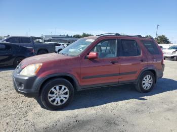  Salvage Honda Crv