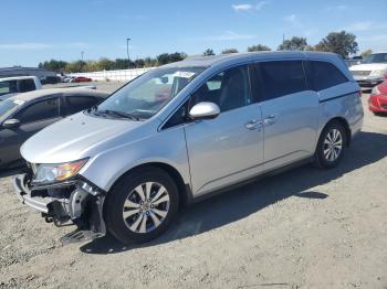  Salvage Honda Odyssey