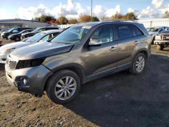  Salvage Kia Sorento