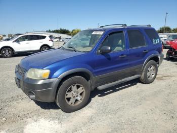  Salvage Ford Escape