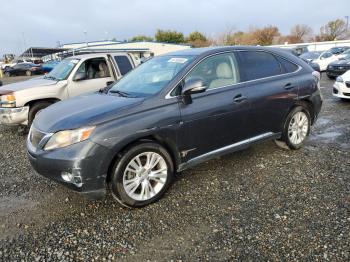  Salvage Lexus RX