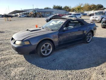  Salvage Ford Mustang