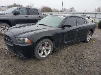  Salvage Dodge Charger