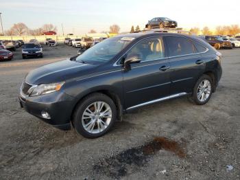  Salvage Lexus RX