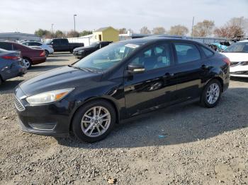  Salvage Ford Focus