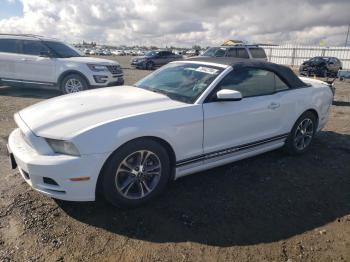  Salvage Ford Mustang