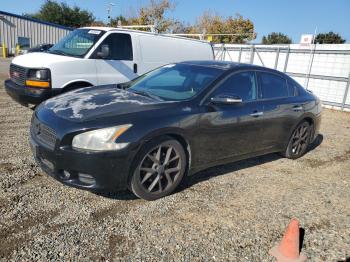  Salvage Nissan Maxima