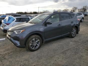  Salvage Toyota RAV4