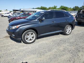  Salvage Lexus RX