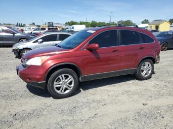  Salvage Honda Crv