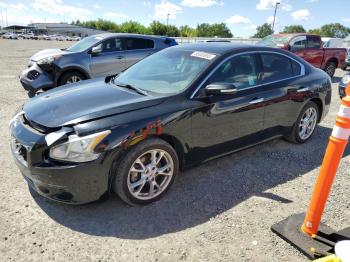  Salvage Nissan Maxima