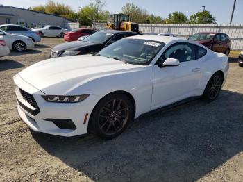  Salvage Ford Mustang