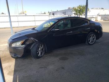  Salvage Nissan Maxima