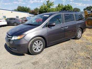  Salvage Honda Odyssey