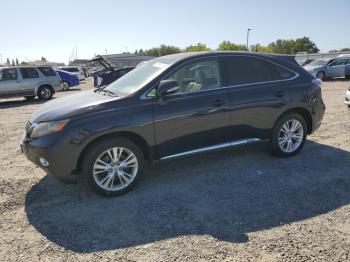  Salvage Lexus RX
