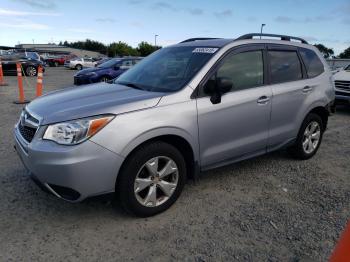  Salvage Subaru Forester