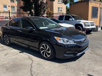  Salvage Hond Accord