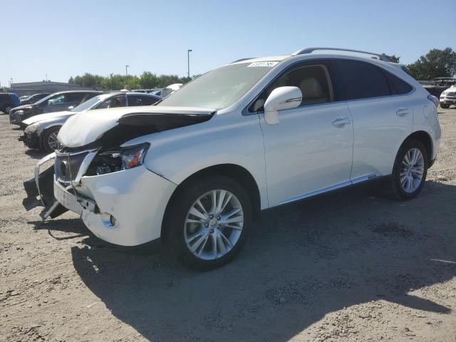  Salvage Lexus RX
