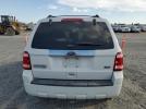 Ford Escape Limited Image 10