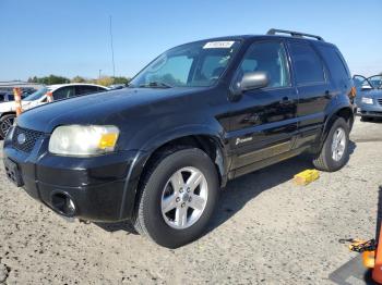  Salvage Ford Escape