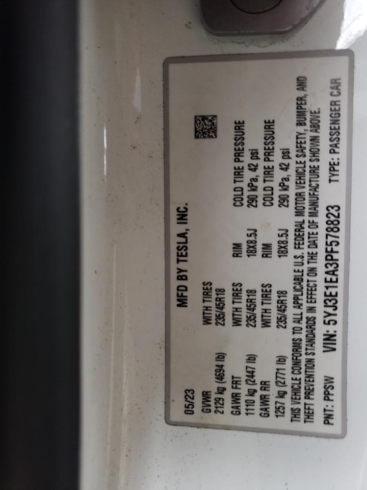 Tesla Model 3 Image 11