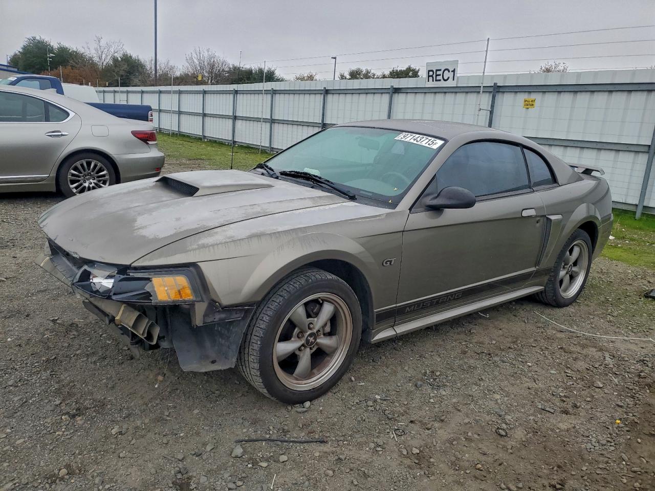 Ford Mustang Gt Image 1