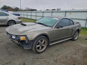  Salvage Ford Mustang
