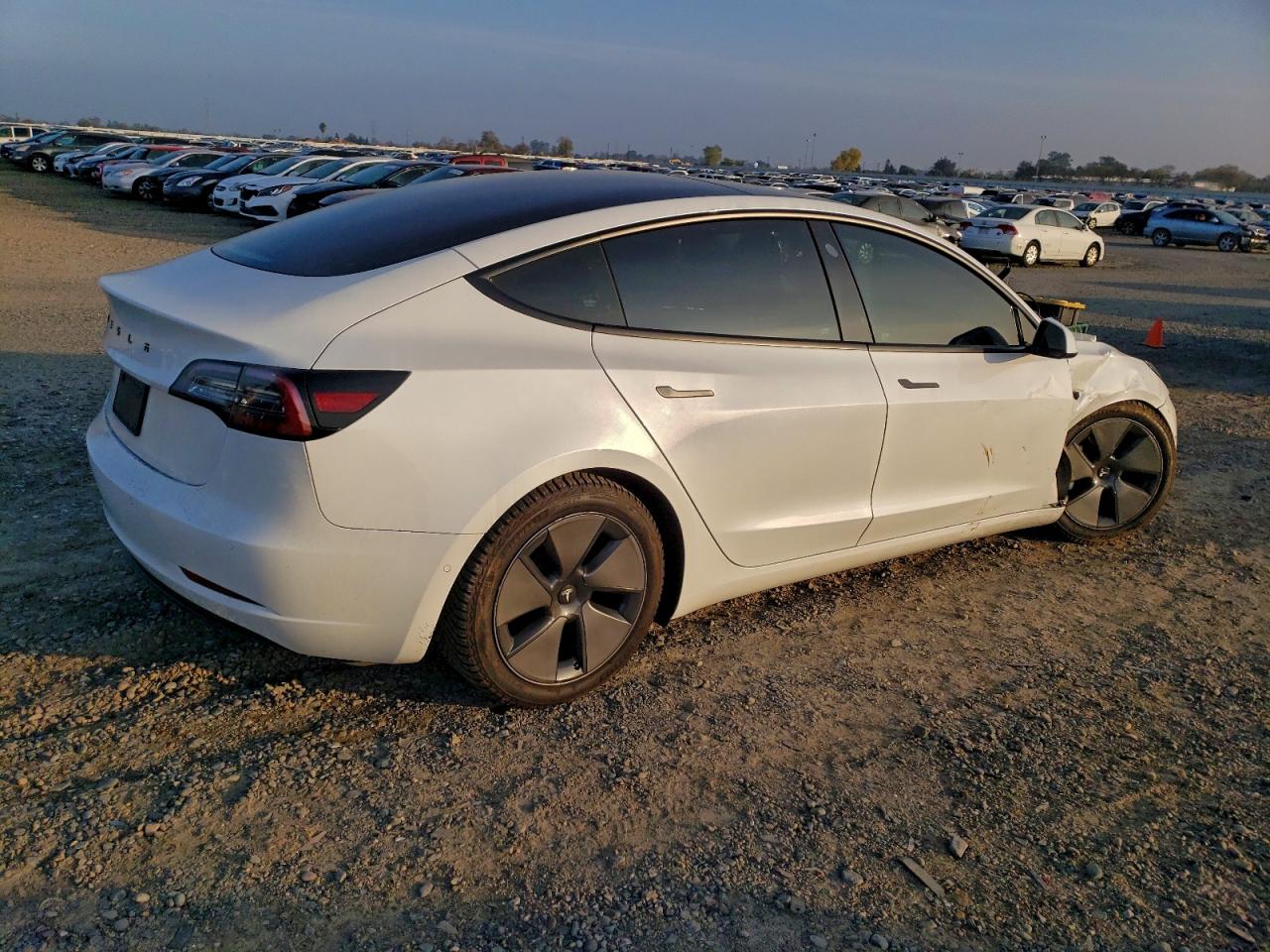 Tesla Model 3 Image 10
