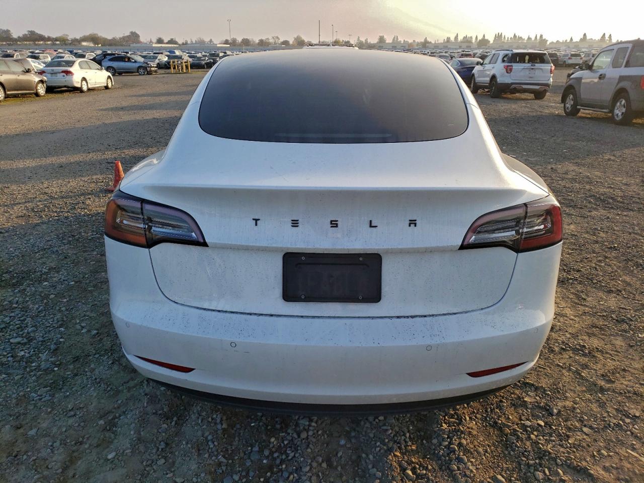Tesla Model 3 Image 5