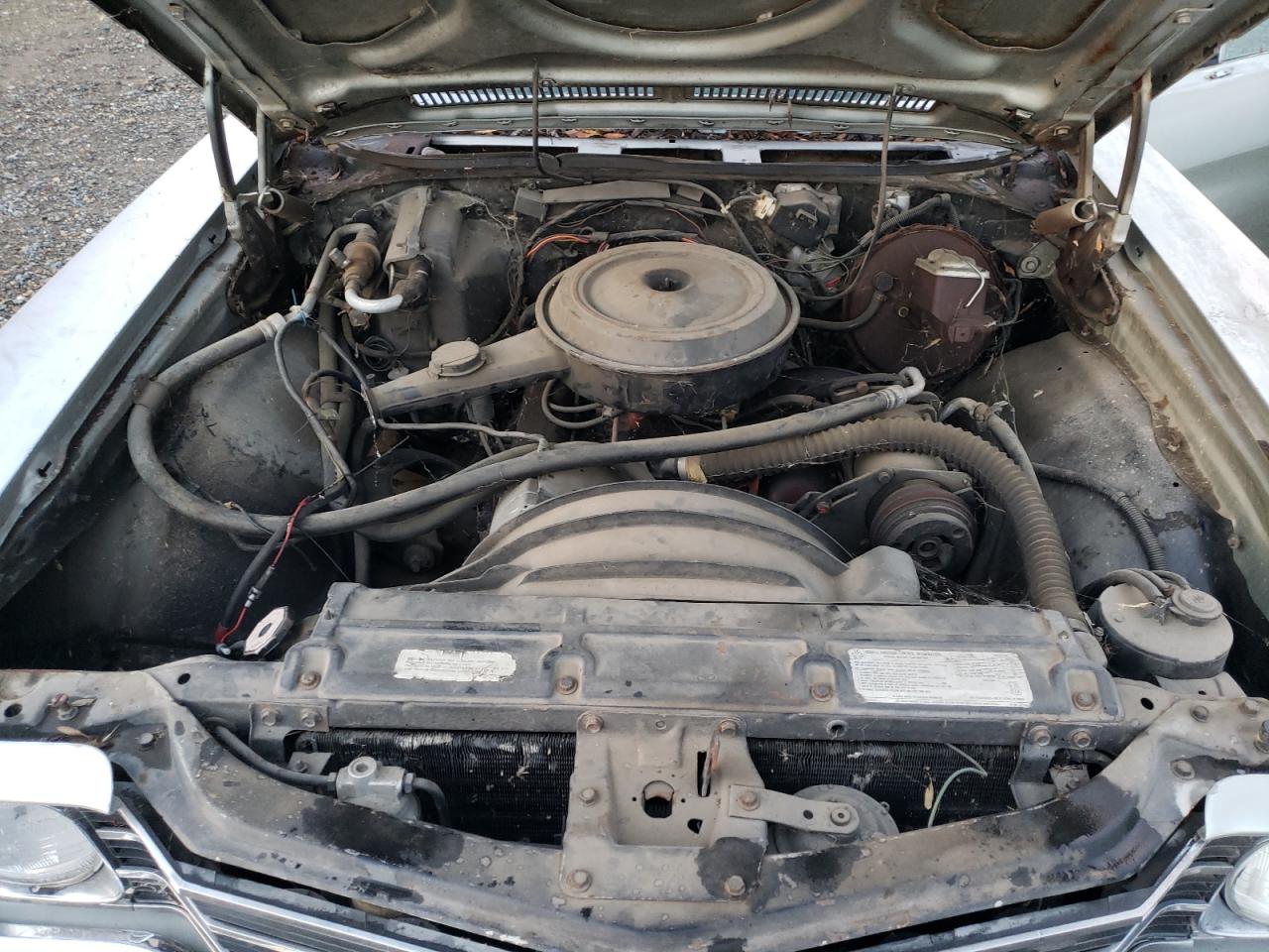 Chevrolet Malibu Image 11