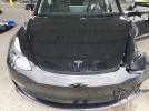 Tesla Model 3 Image 12