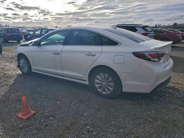 Hyundai SONATA Hybrid Image 4