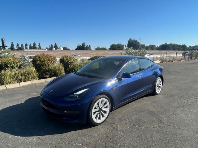 Tesla Model 3 Image 4