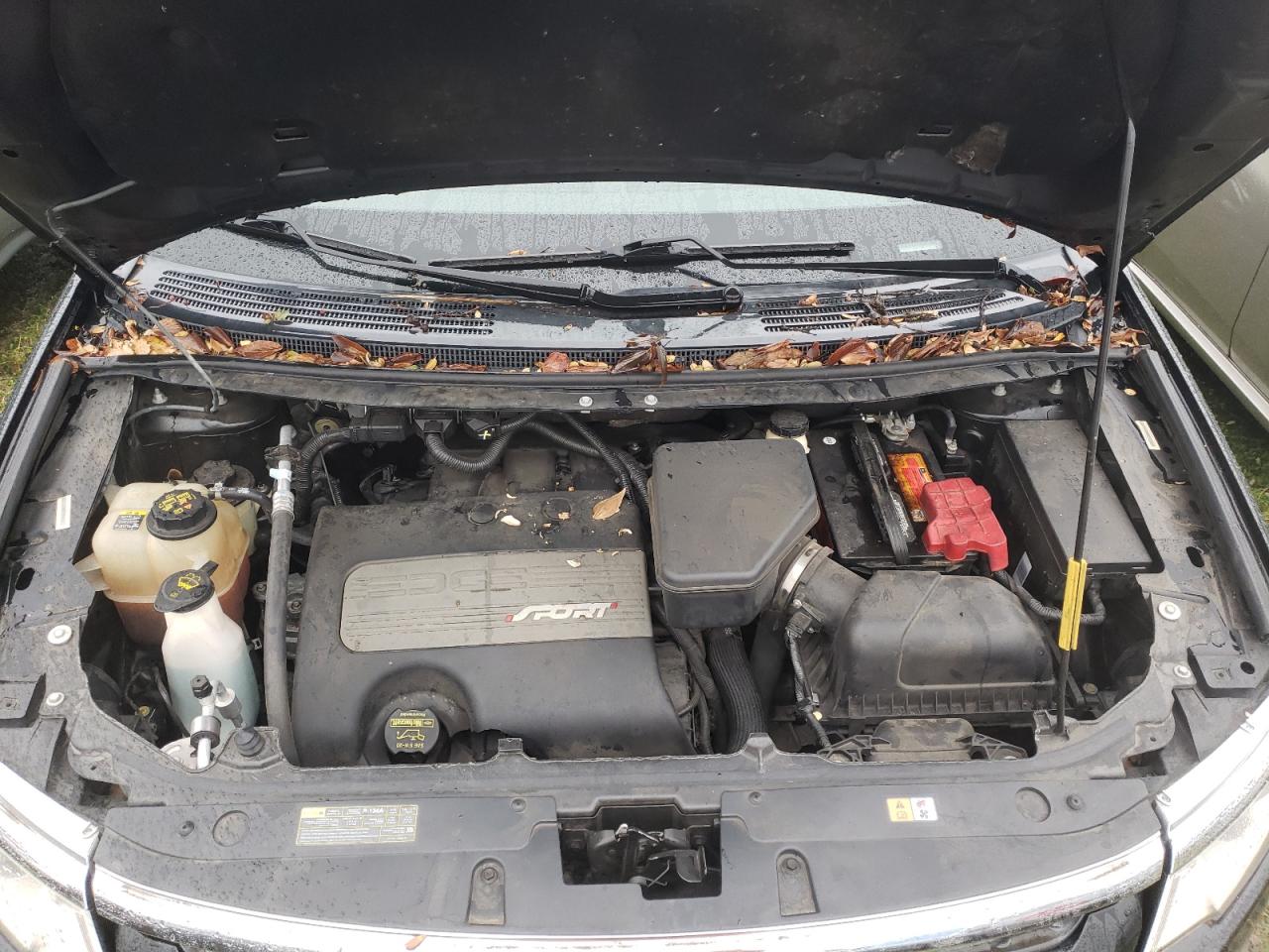 Ford Edge Sport Image 4