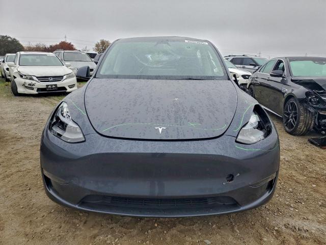 Tesla Model Y Image 7